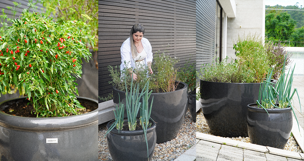 5 ideias de títulos:
1. Horta em Casa: Guia Completo para Cultivar em Vasos
2. Os Melhores Vegetais para sua Horta de Varanda
3. Ervas Aromáticas em Vasos: Sabor e Aroma na sua Cozinha
4. Cultivo de Frutos em Vasos: Dicas para Colheitas de Sucesso
5. Soluções Criativas para uma Horta em Apartamento