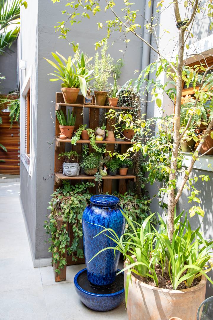 hortaliças para plantar em vaso