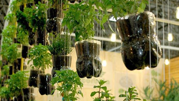 5 ideias de títulos:
1. Horta em Casa: Guia Completo para Cultivar em Vasos
2. Os Melhores Vegetais para sua Horta de Varanda
3. Ervas Aromáticas em Vasos: Sabor e Aroma na sua Cozinha
4. Cultivo de Frutos em Vasos: Dicas para Colheitas de Sucesso
5. Soluções Criativas para uma Horta em Apartamento