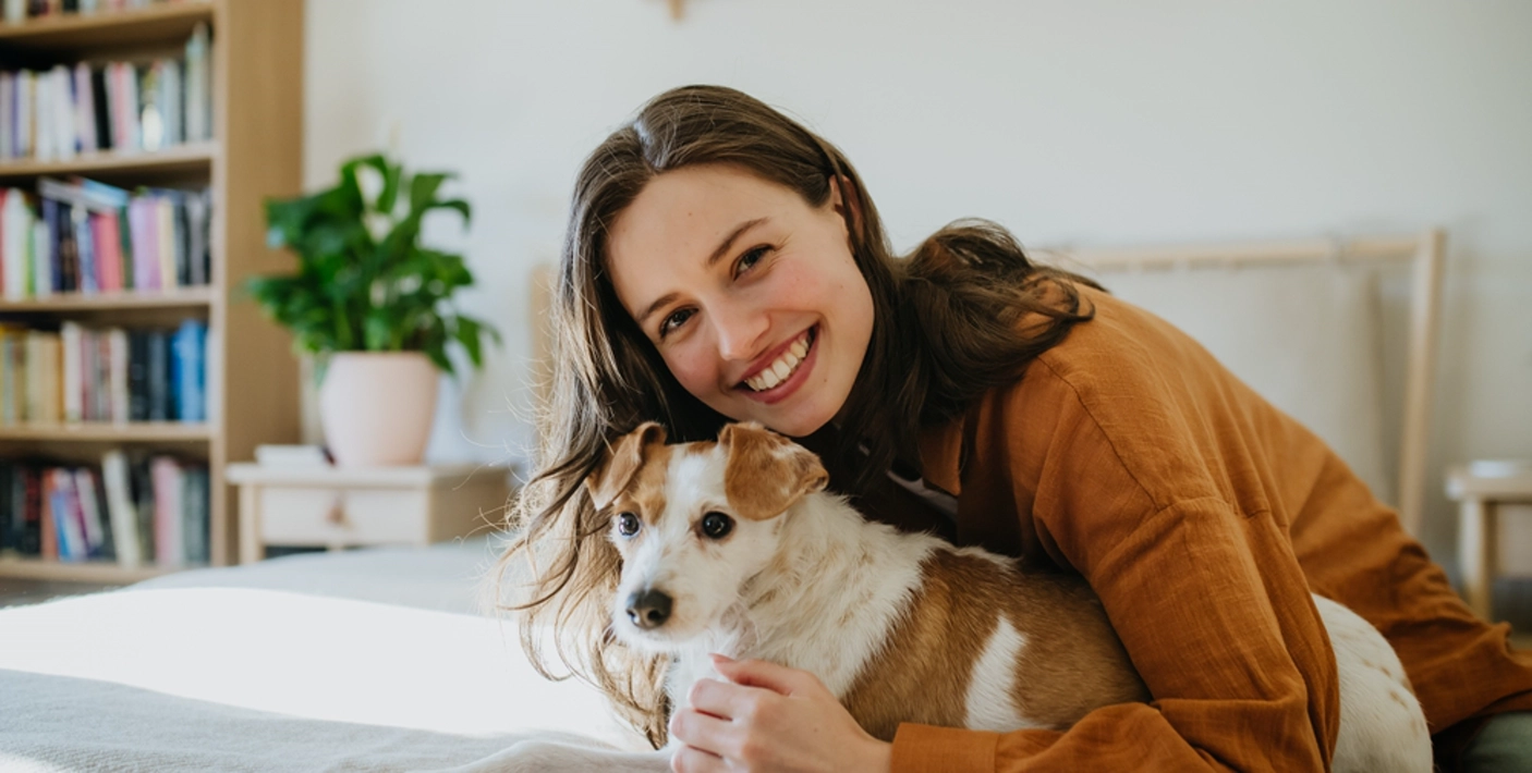 hospedagem de animais domésticos mei