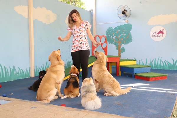 Maximizando o Faturamento do seu MEI Pet: Dicas e Estratégias