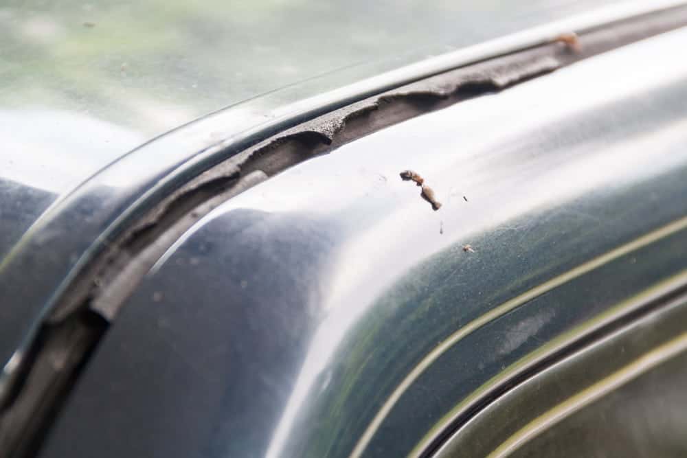 infiltração de agua no carro