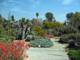 Inspiração: Os Jardins Desérticos Mais Famosos do Mundo