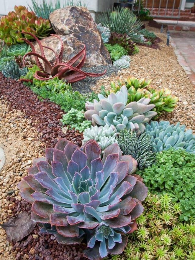 Como Escolher o Solo Ideal para um Jardim Árido