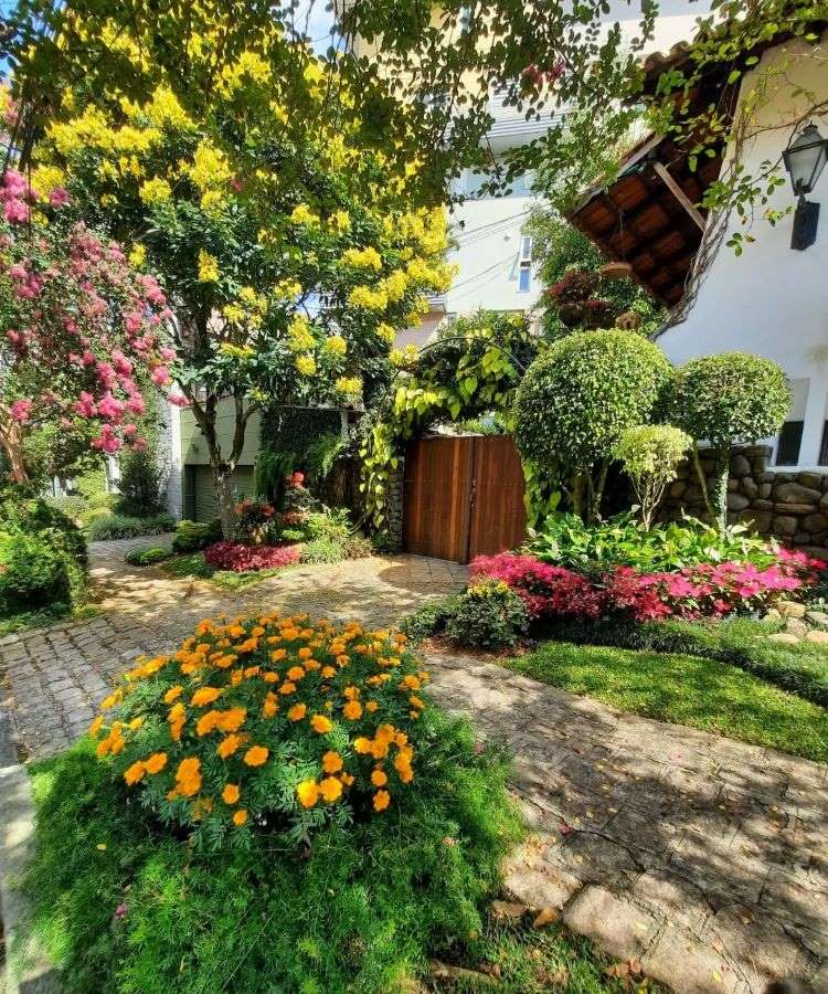 Feijão Tepari e Outras Plantas que Recuperam o Solo em Áreas Secas