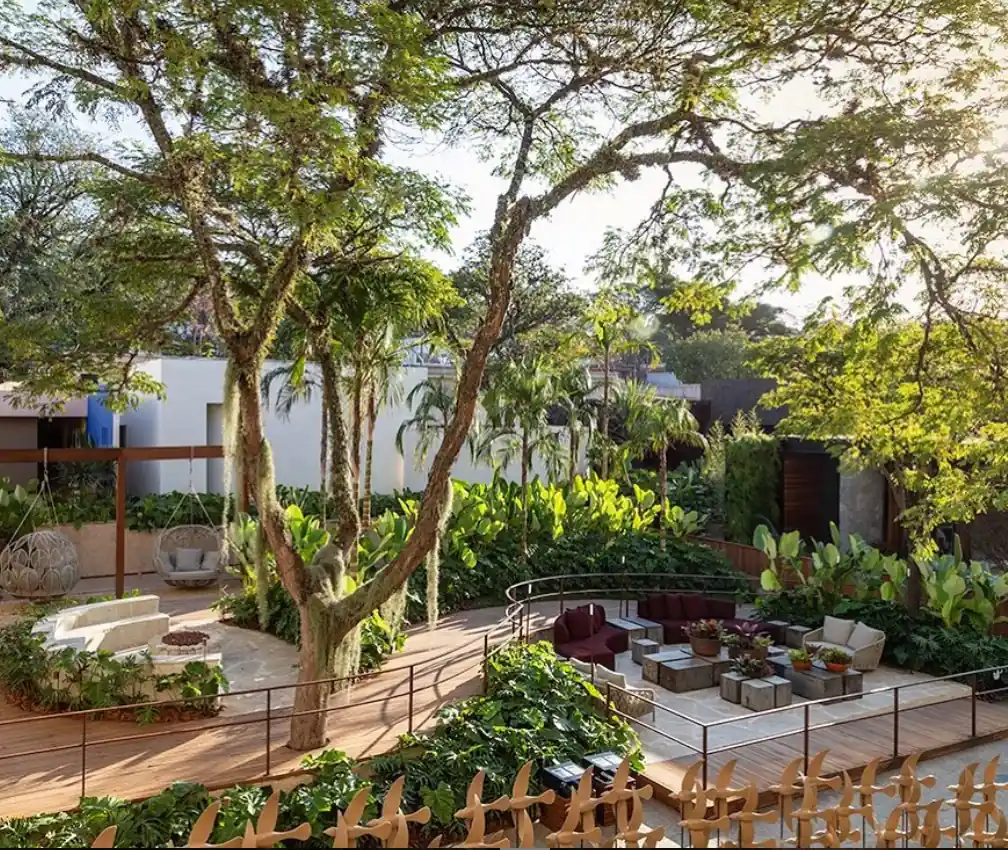 Inspiração: Os Jardins Desérticos Mais Famosos do Mundo