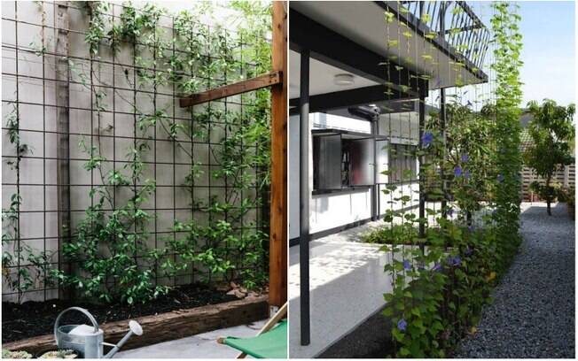 DIY: Construa Sua Própria Estrutura de Suporte para Trepadeiras