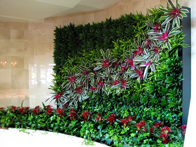 Modelos e Onde Comprar