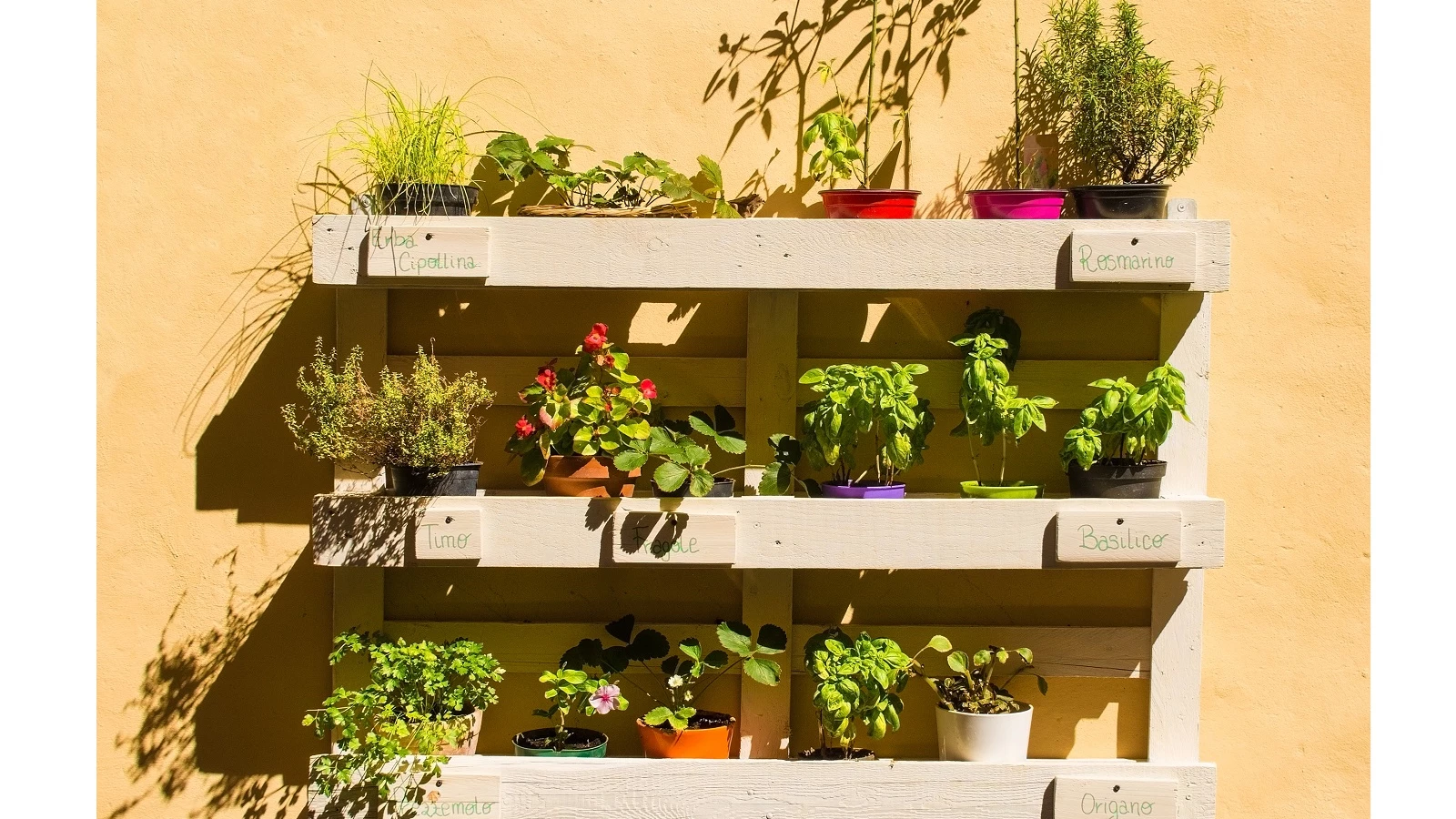 jardim vertical para plantas aromáticas