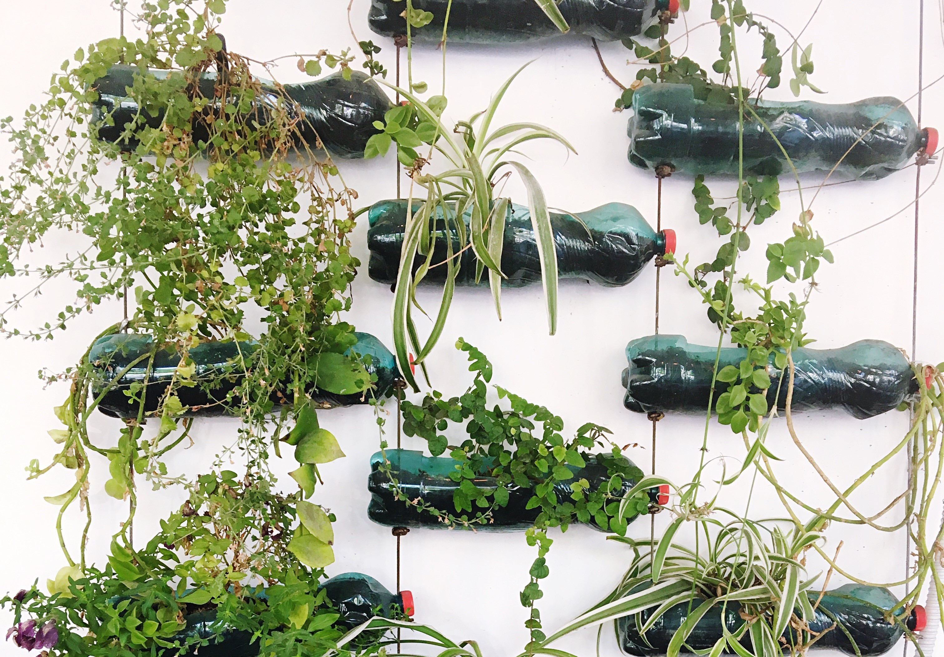 jardim vertical para plantas aromáticas