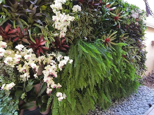 jardim vertical para plantas aromáticas