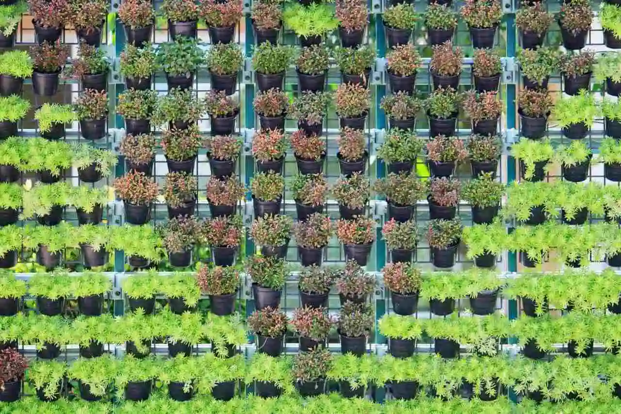 jardim vertical para plantas aromáticas