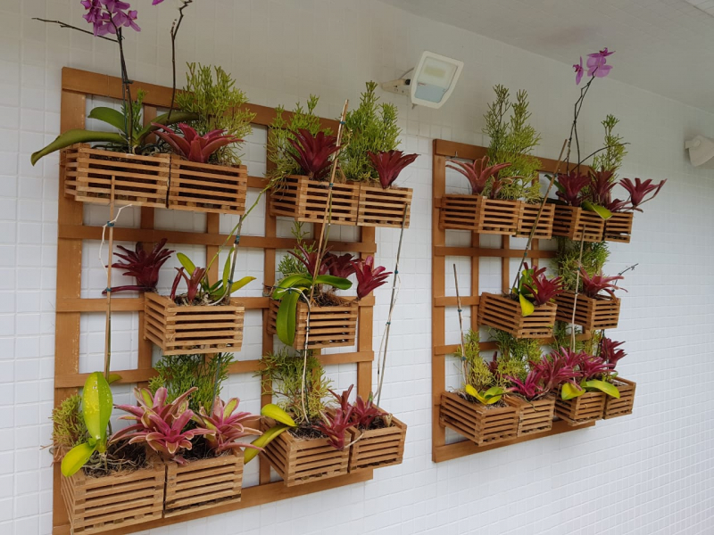 Guia Completo: Como Escolher as Melhores Plantas para Seu Jardim Vertical em Sacadas Pequenas