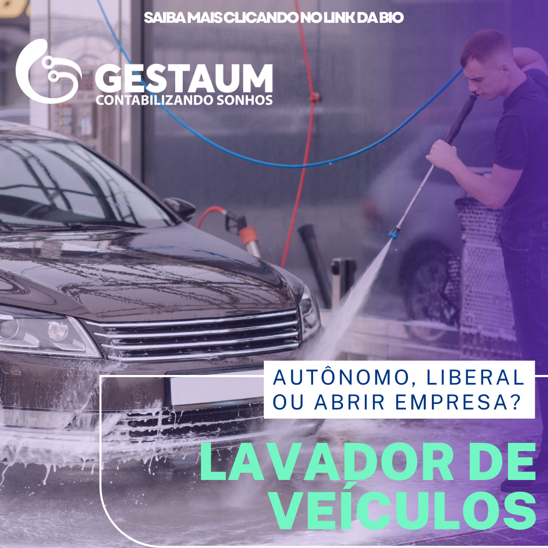 lavador de carros mei