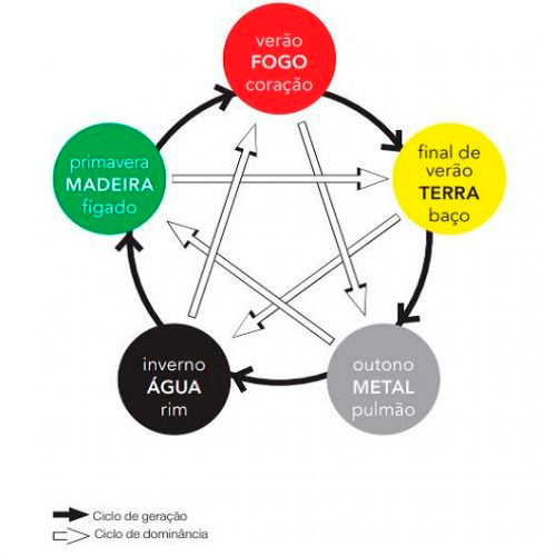 A Relação Entre o Intestino Grosso e a Saúde da Pele na MTC