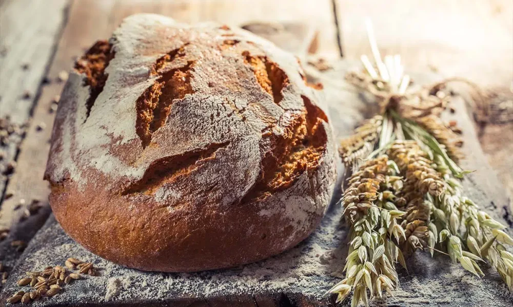 Desvendando os CNAEs: Qual o Código Certo para seu Produto Alimentício MEI?