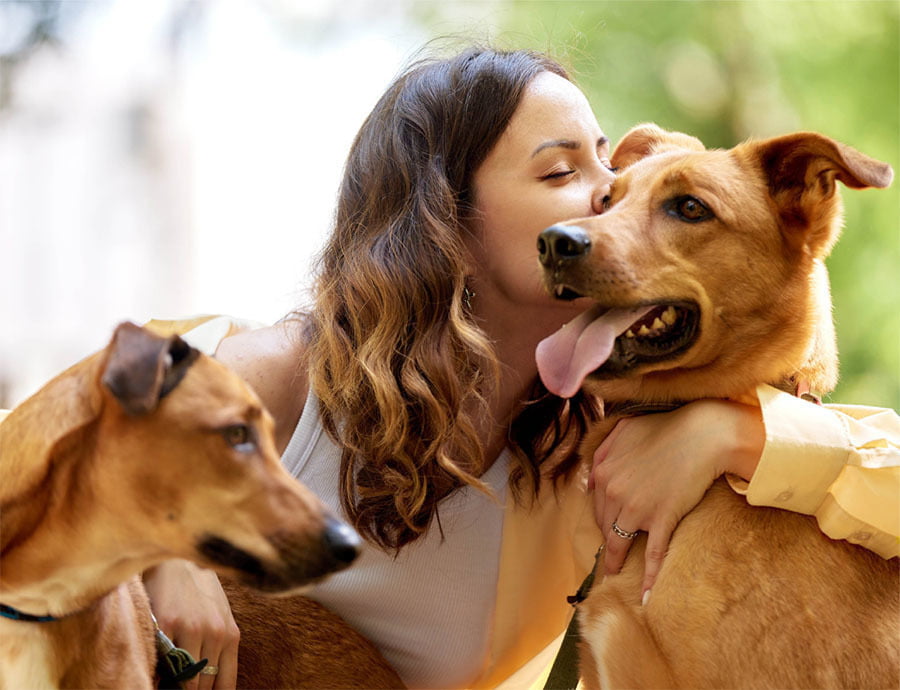 Vantagens e Desvantagens de Ser MEI para um Negócio Pet