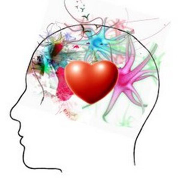 Guia prático: Exercícios e dicas para aprimorar seu Quociente Emocional e suas relações