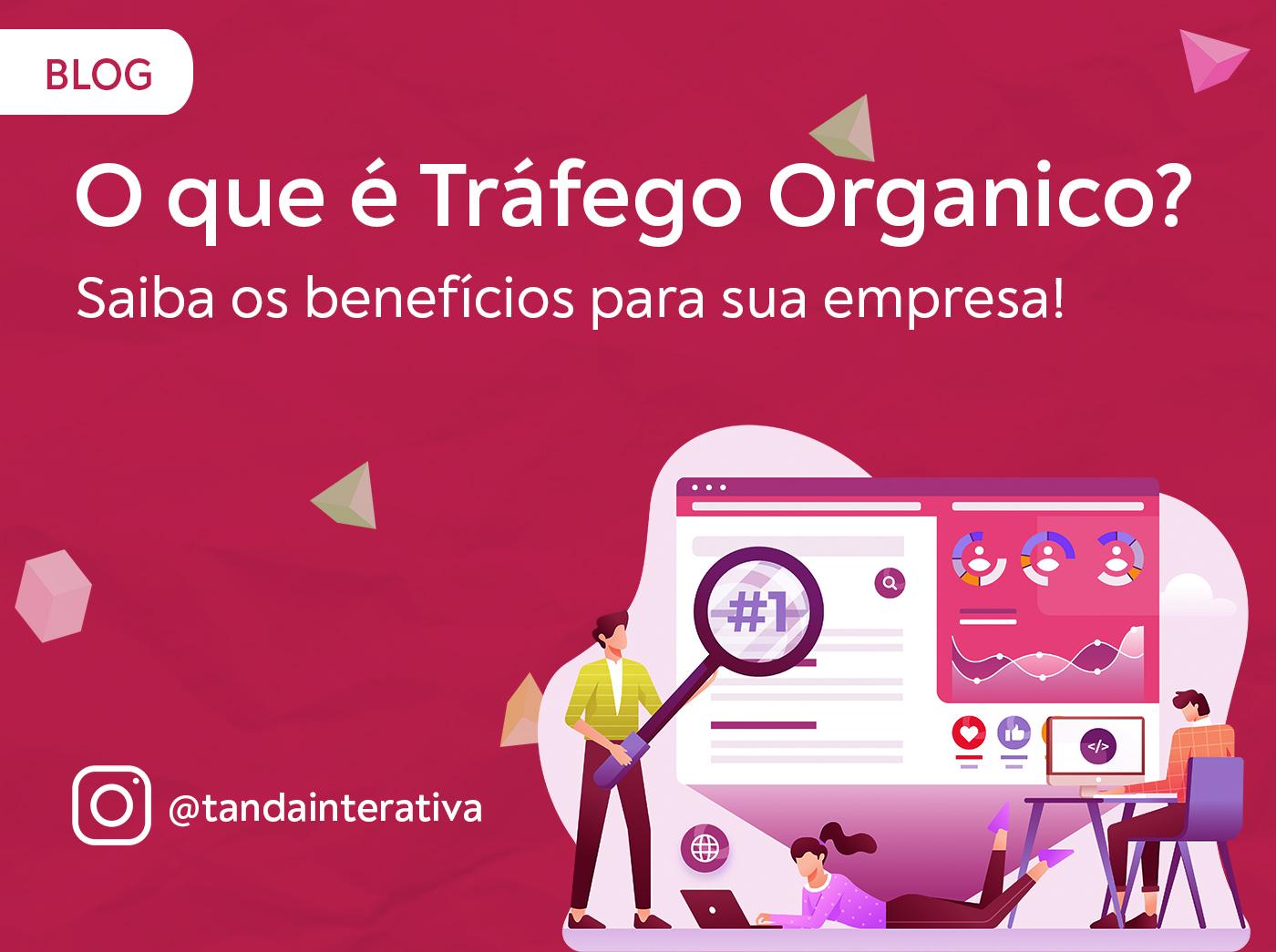 5 ideias de títulos:
1. Guia Completo: Como Dominar o Tráfego Orgânico para Seu Negócio.
2. SEO para Iniciantes: Os Primeiros Passos para Atrair Visitantes Orgânicos.
3. Marketing de Conteúdo: Estratégias que Geram Tráfego Orgânico Sustentável.
4. Redes Sociais e Tráfego Orgânico: Maximizando o Alcance sem Investimento em Anúncios.
5. A Importância da Autoridade de Marca no Crescimento do Tráfego Orgânico.