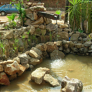 paisagismo com pedras