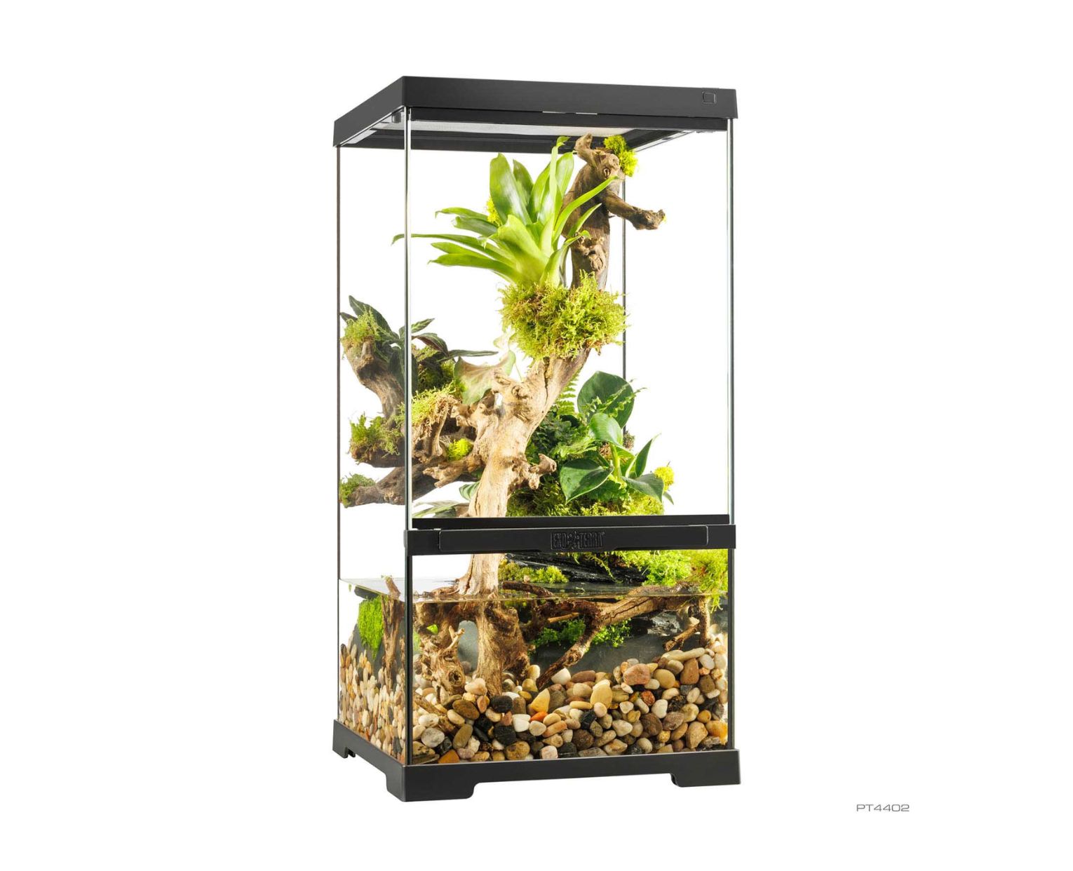 paludário como montar