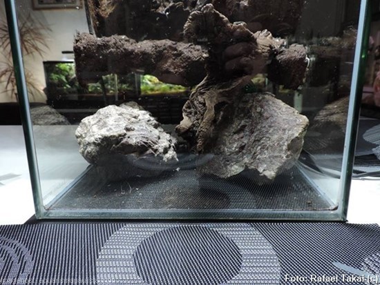 5 ideias de títulos:
1. Guia Completo: Como Montar Seu Primeiro Paludário do Zero
2. Paludário com Cascata: Dicas Essenciais para um Efeito Uau!
3. Escolhendo as Plantas e Animais Ideais para o Seu Paludário
4. Equipamentos Essenciais para um Paludário Saudável e Equilibrado
5. Manutenção de Paludários: Cuidados para um Ecossistema Duradouro