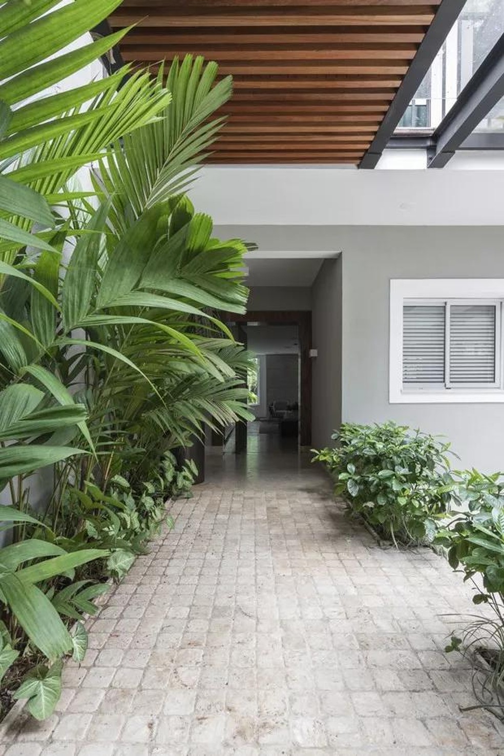 Plantas para Pergolado: As Melhores Espécies para Sol Pleno e Sombra