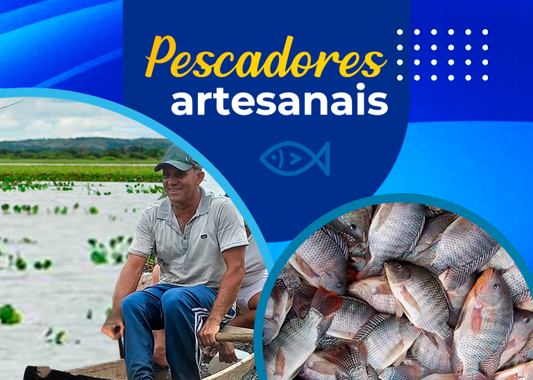 pescador profissional artesanal mei