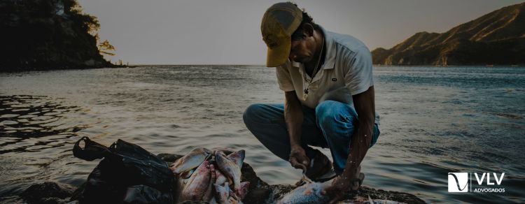 pescador profissional artesanal mei