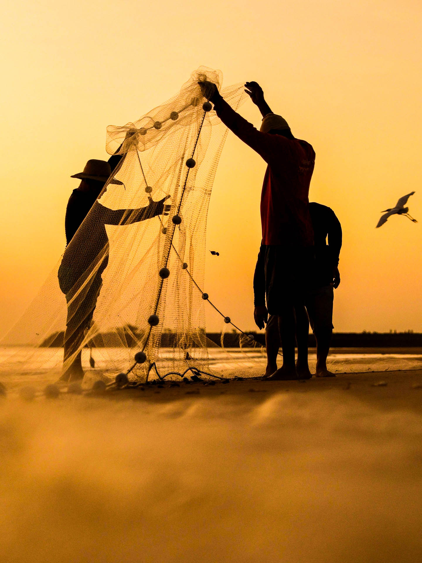 Guia Completo: Pescador Artesanal e MEI - O que você precisa saber