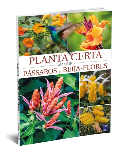 plantas para atrair beija flor