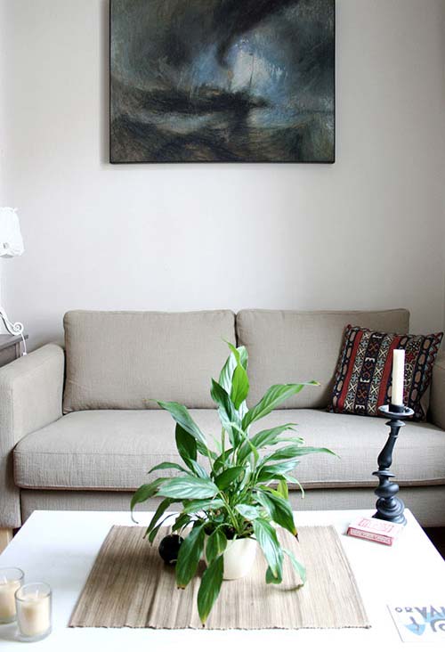 Guia Completo: Plantas que Purificam o Ar em Ambientes Internos