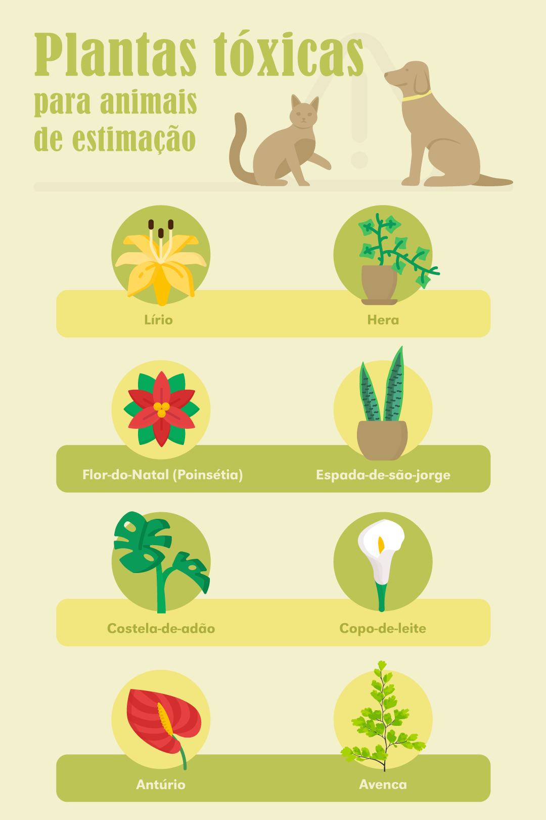 plantas tóxicas para pets