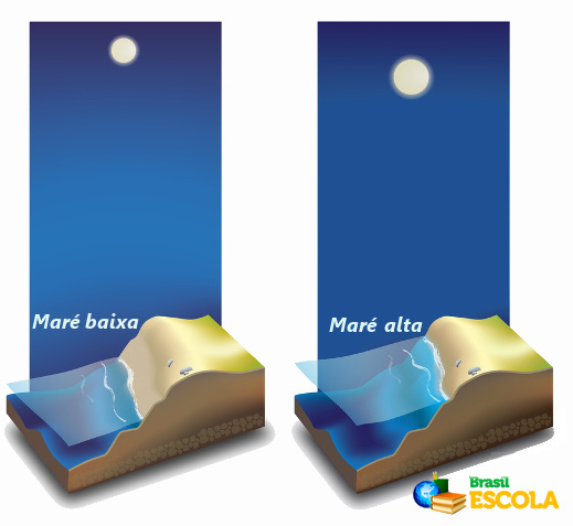 Como Consultar a Tábua de Marés para Suas Atividades Aquáticas