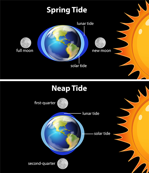 porque a lua influencia as marés
