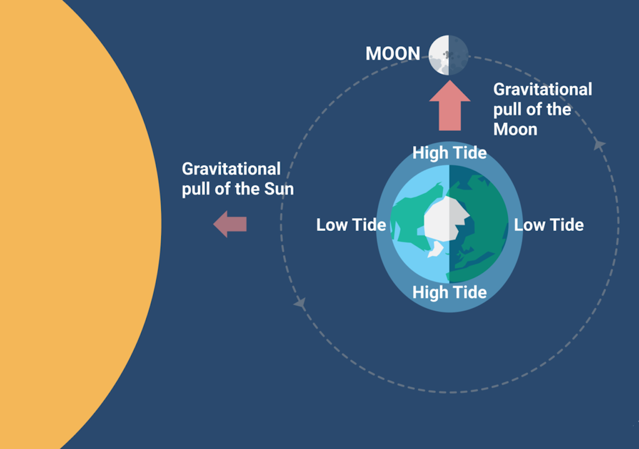 Entenda a Força Gravitacional da Lua e Seu Impacto nas Marés
