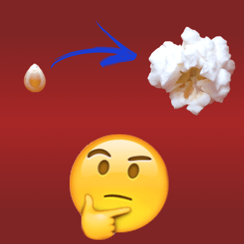 A Ciência Fascinante Por Trás do Estouro da Pipoca