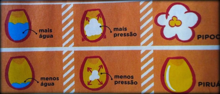 Guia Completo: Entenda o Processo Físico-Químico da Pipoca