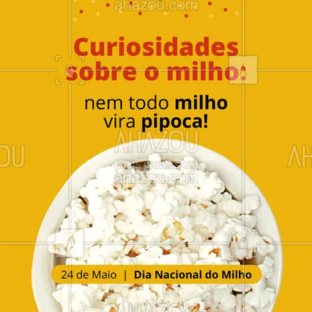 Desvendando o Mistério: Por Que Nem Todo Milho Vira Pipoca?