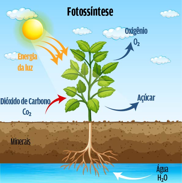5 ideias de títulos