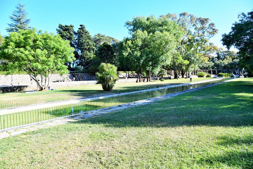 porque as plantas são verdes
