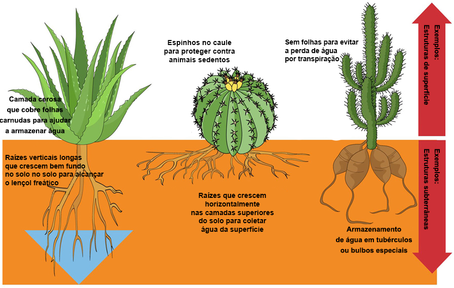 5 ideias de títulos