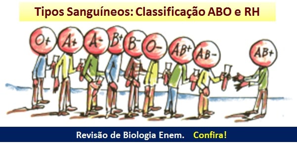 1. Como o tipo sanguíneo é determinado geneticamente?
2. A importância do Fator Rh na compatibilidade sanguínea.
3. O que o tipo sanguíneo revela sobre a saúde e evolução humana?
4. Guia completo: Doador Universal vs. Receptor Universal.
5. Mitos e verdades sobre a compatibilidade sanguínea entre pais e filhos.