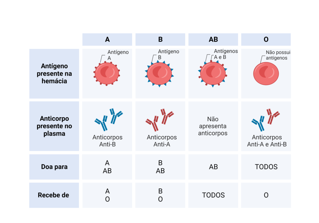 porque temos diferentes tipos sanguíneos
