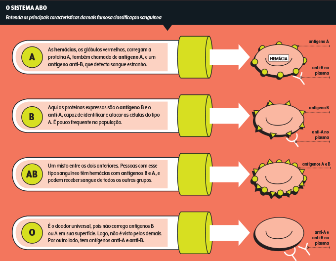 1. Como o tipo sanguíneo é determinado geneticamente?
2. A importância do Fator Rh na compatibilidade sanguínea.
3. O que o tipo sanguíneo revela sobre a saúde e evolução humana?
4. Guia completo: Doador Universal vs. Receptor Universal.
5. Mitos e verdades sobre a compatibilidade sanguínea entre pais e filhos.