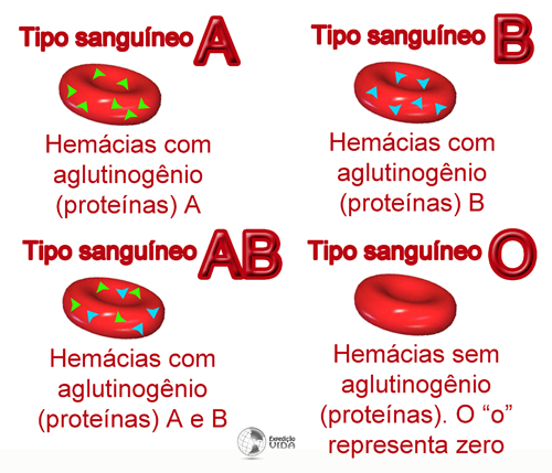 porque temos diferentes tipos sanguíneos