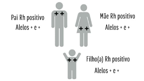 1. Como o tipo sanguíneo é determinado geneticamente?
2. A importância do Fator Rh na compatibilidade sanguínea.
3. O que o tipo sanguíneo revela sobre a saúde e evolução humana?
4. Guia completo: Doador Universal vs. Receptor Universal.
5. Mitos e verdades sobre a compatibilidade sanguínea entre pais e filhos.