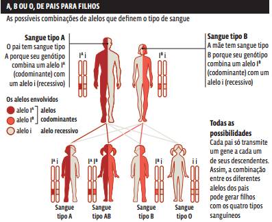 porque temos diferentes tipos sanguíneos