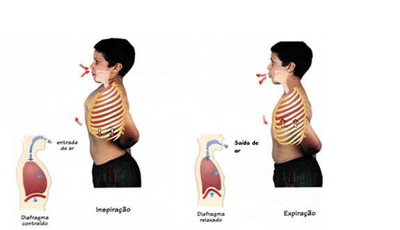5 ideias de títulos:
1. Soluços: Entenda as Causas e Descubra Como Aliviá-los
2. Soluço Persistente: Quando se Preocupar e o Que Fazer
3. Técnicas Caseiras Eficazes para Interromper o Soluço
4. Soluço e Refluxo: A Conexão Inesperada
5. O Que o Seu Soluço Diz Sobre a Sua Saúde?