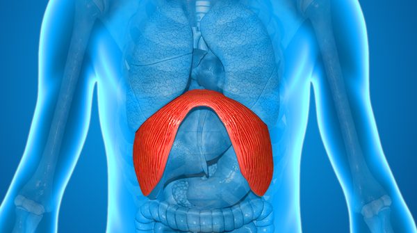 porque temos soluços